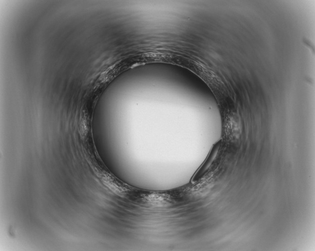 X0000098100566200804181428