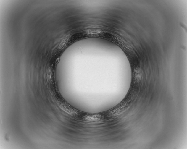X0000098100567200804181428