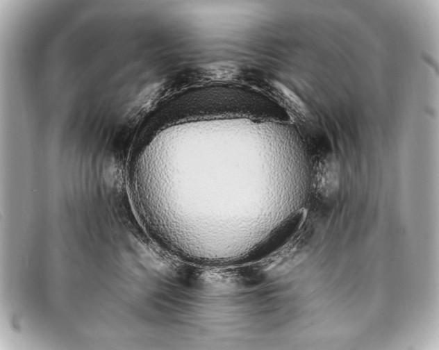 X0000098100568200804181428