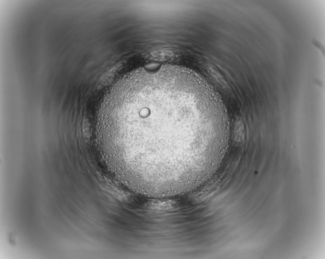 X0000098100569200804181428