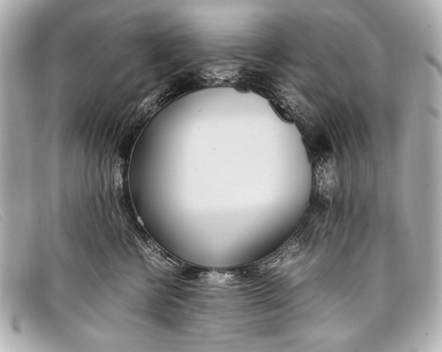 X0000098100570200804181428