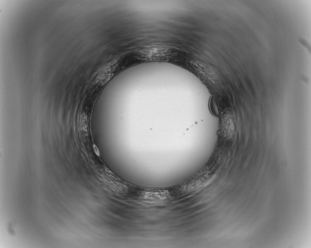 X0000098100571200804181428