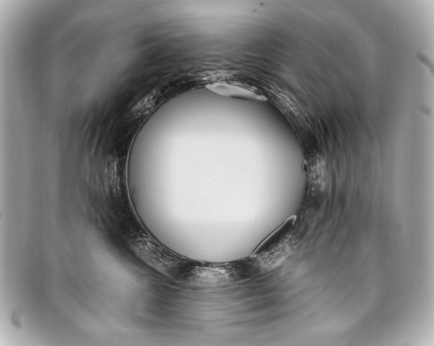 X0000098100572200804181428