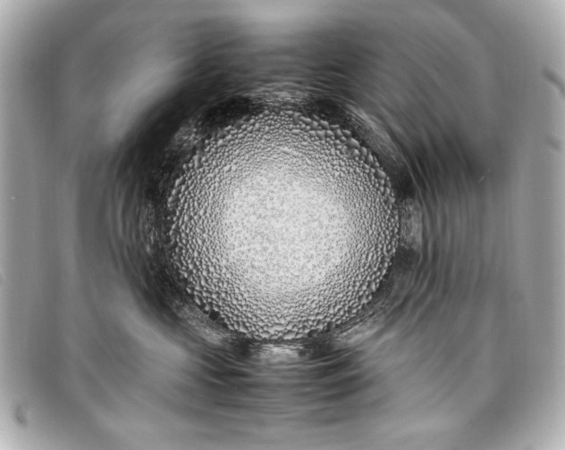 X0000098100573200804181428