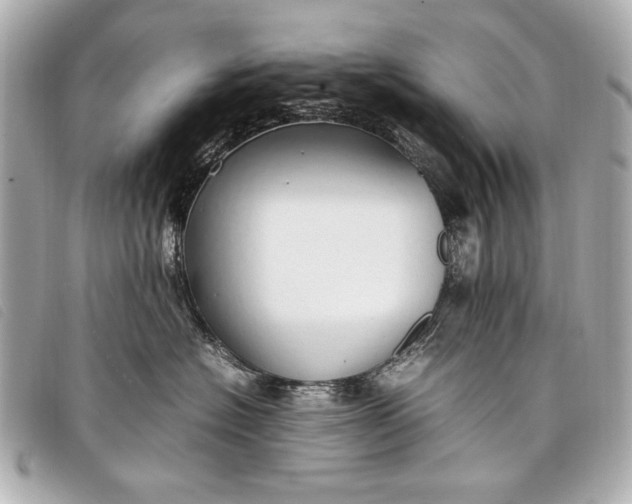 X0000098100574200804181428