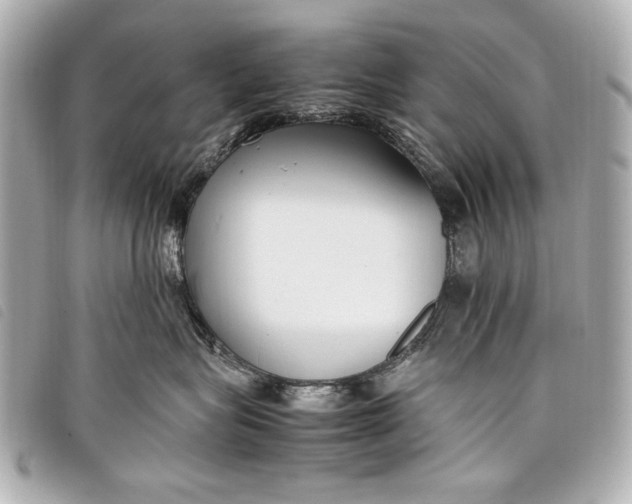 X0000098100575200804181428