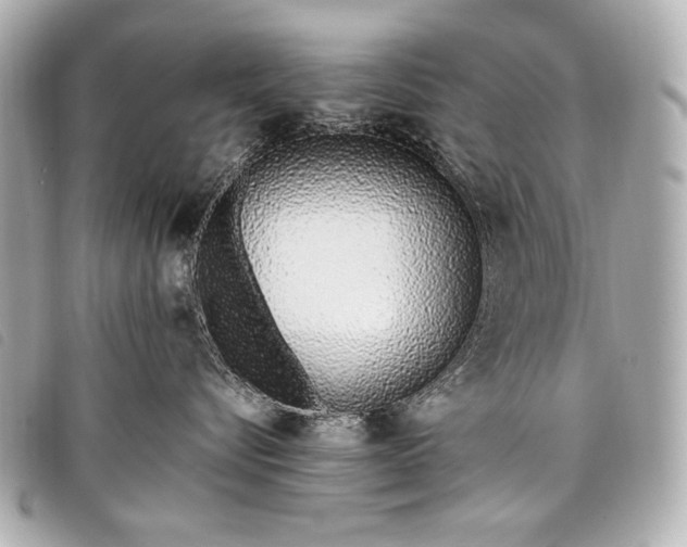 X0000098100576200804181428