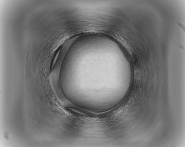 X0000098100577200804181427
