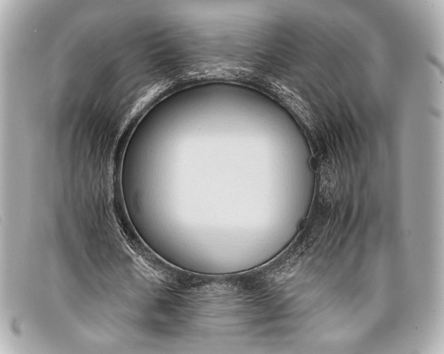 X0000098100578200804181427