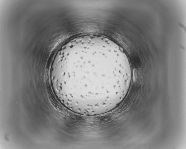 X0000098100579200804181427