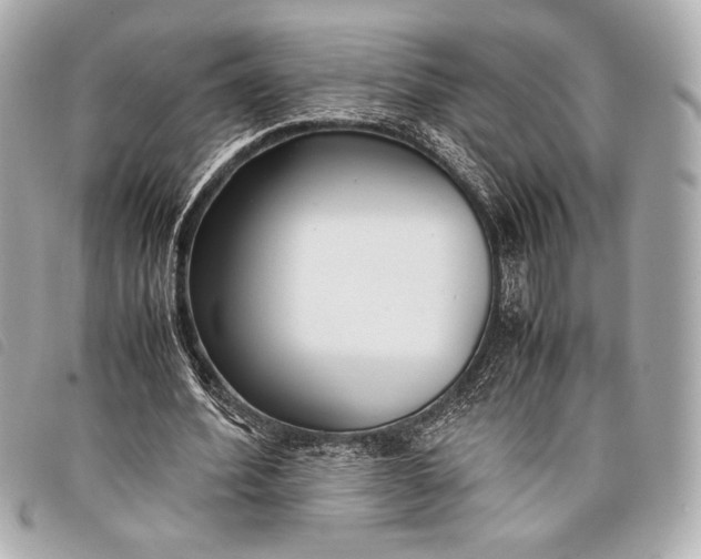 X0000098100580200804181427