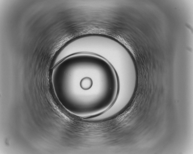 X0000098100581200804181427