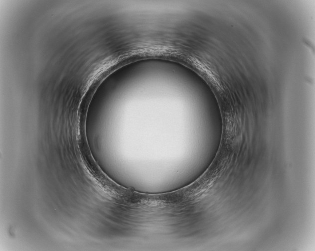 X0000098100582200804181427