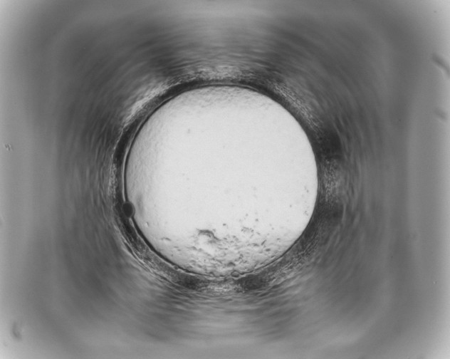 X0000098100583200804181427