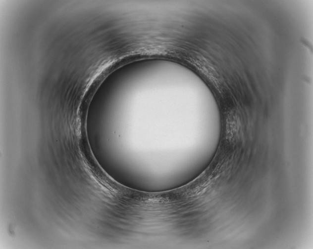 X0000098100584200804181427