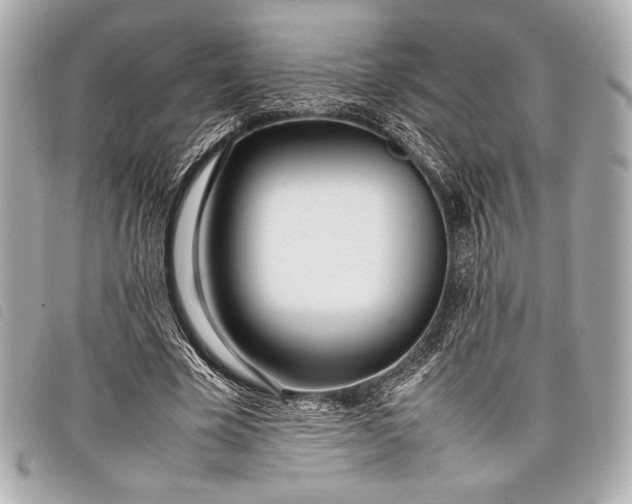 X0000098100585200804181427