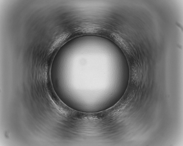 X0000098100586200804181427