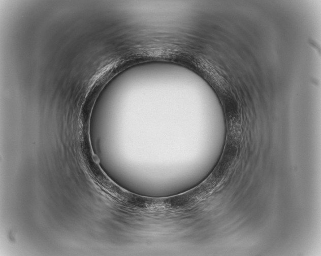 X0000098100587200804181427