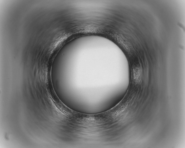 X0000098100588200804181427