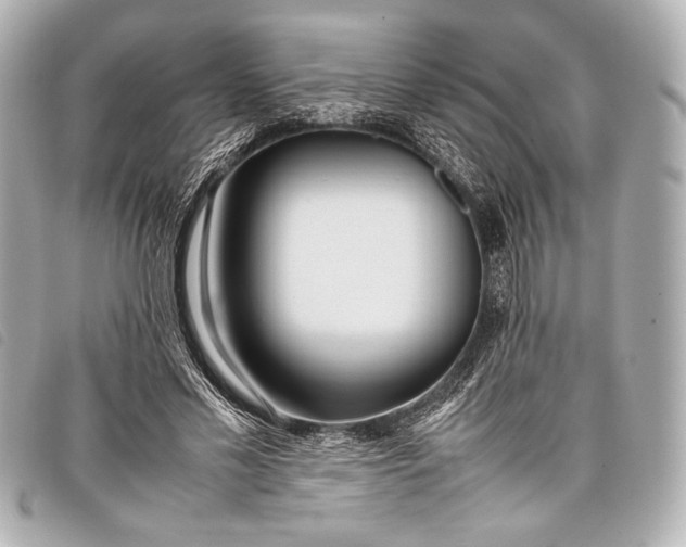 X0000098100589200804181427