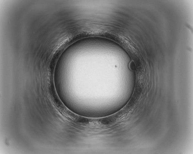 X0000098100591200804181427