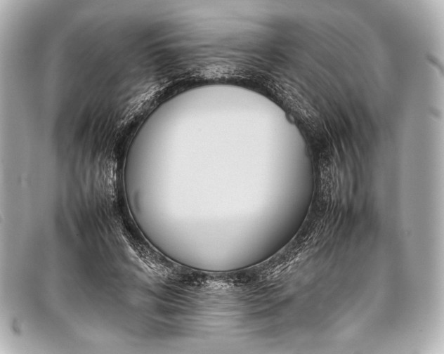 X0000098100592200804181427