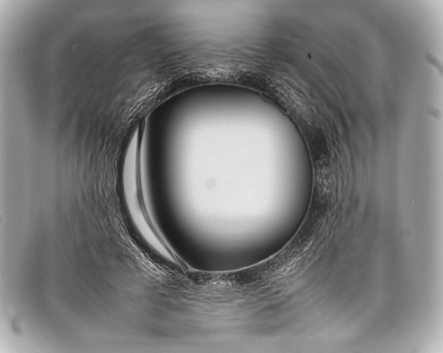 X0000098100593200804181427