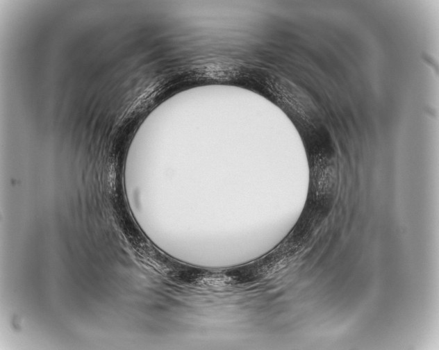 X0000098100595200804181427