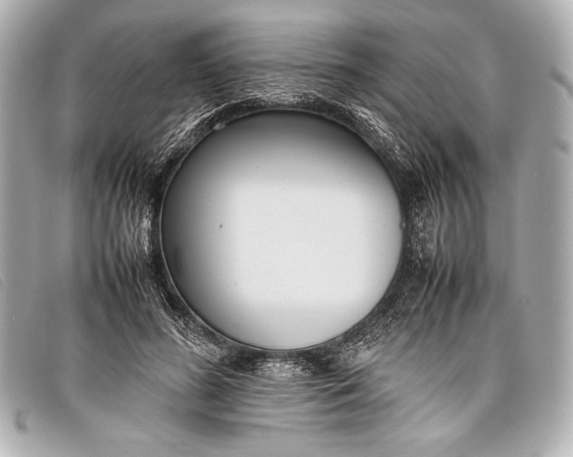 X0000098100596200804181427