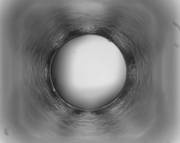 X0000098100597200804181427