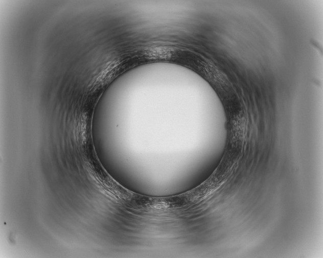 X0000098100600200804181426
