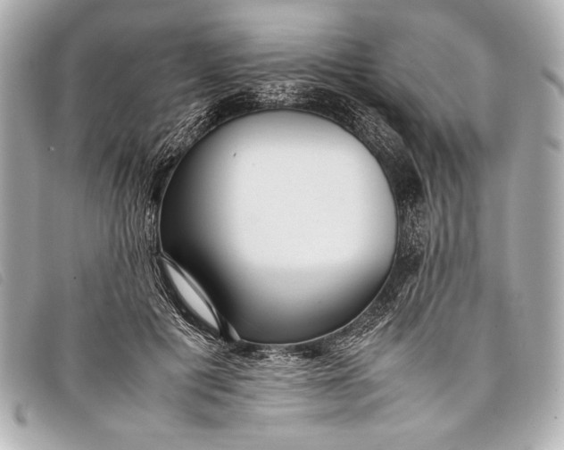 X0000098100601200804181426