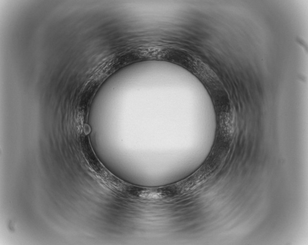 X0000098100602200804181426