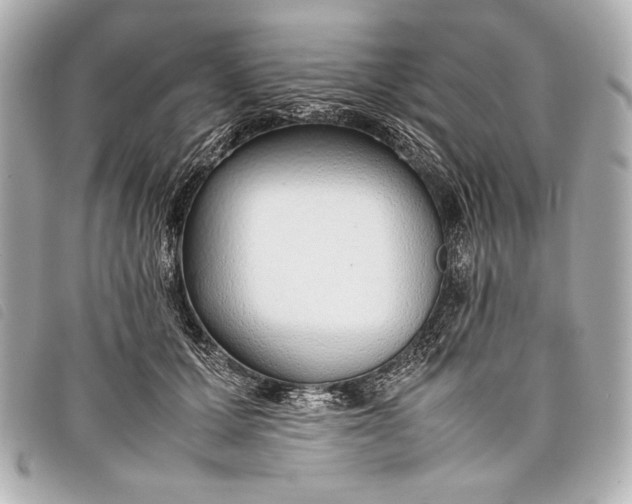 X0000098100607200804181426