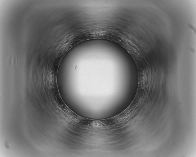 X0000098100608200804181426