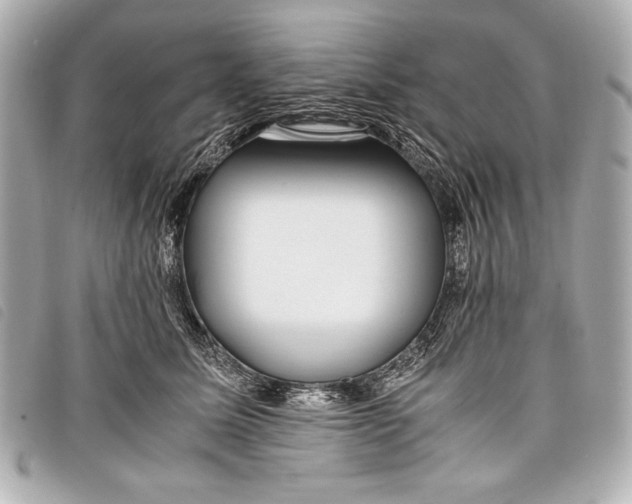 X0000098100611200804181426