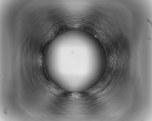 X0000098100612200804181426