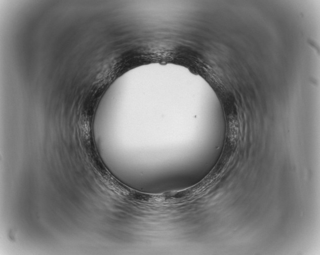 X0000098100613200804181426