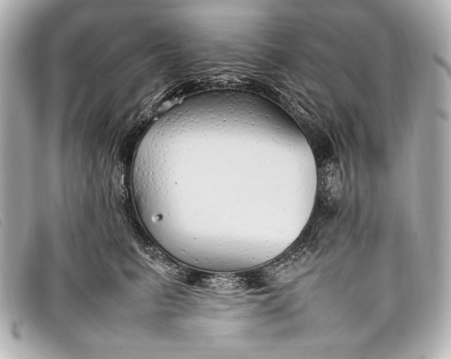 X0000098100615200804181426