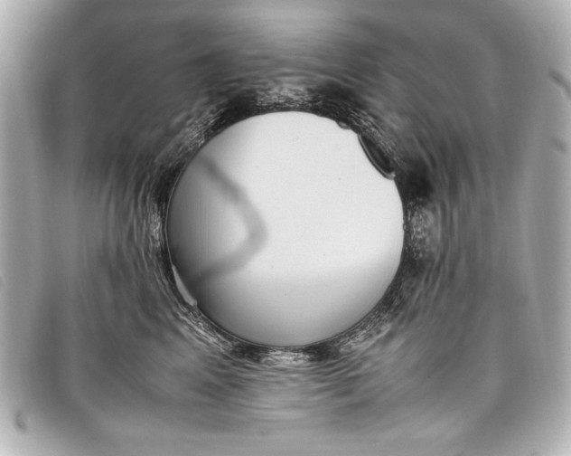 X0000098100617200804181426