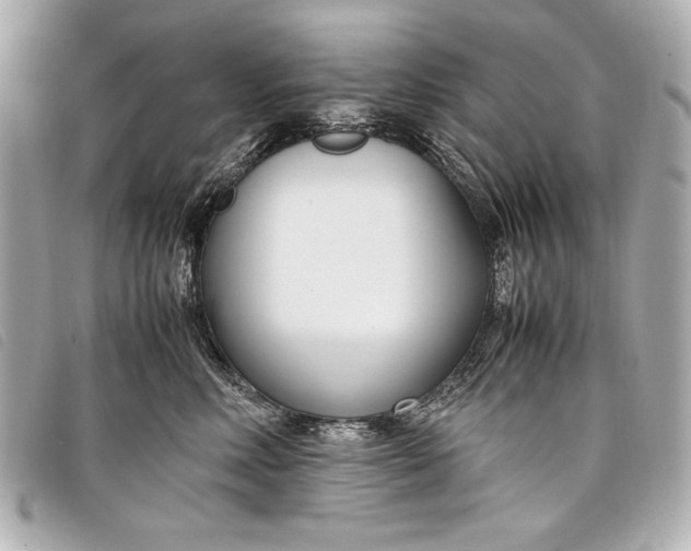 X0000098100618200804181426