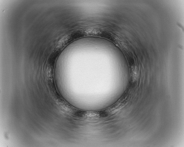 X0000098100619200804181426