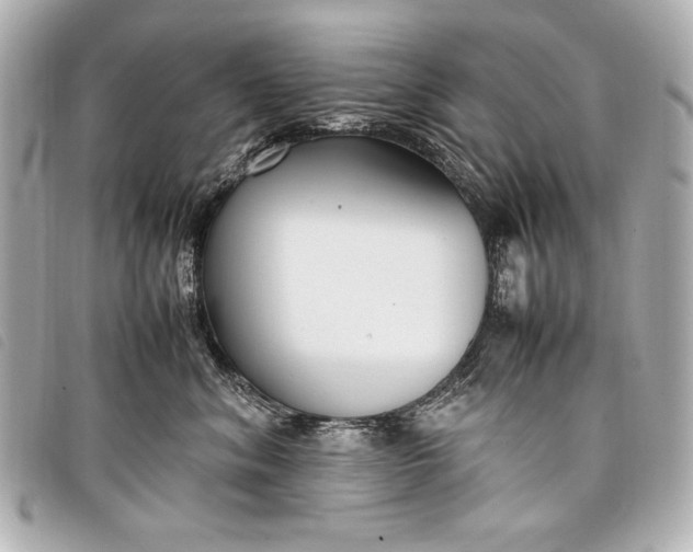 X0000098100620200804181426