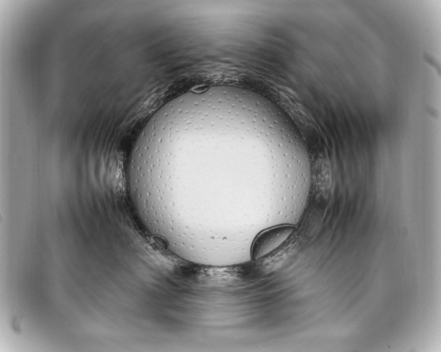 X0000098100622200804181426