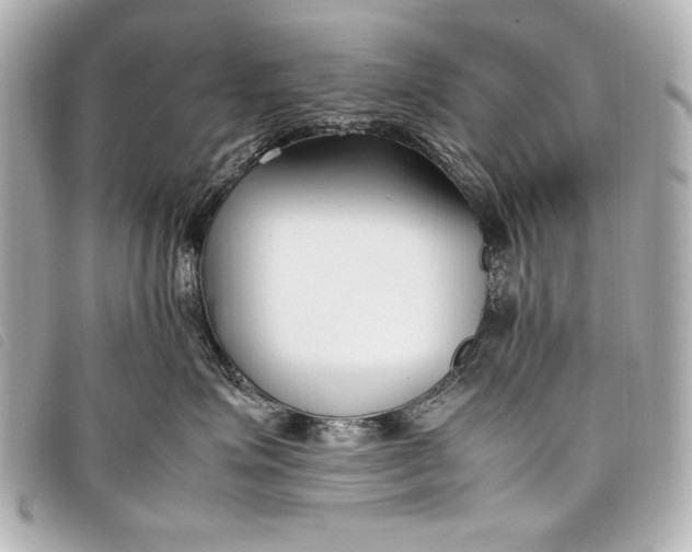 X0000098100623200804181426
