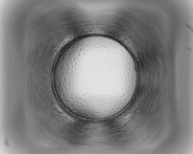X0000098100625200804181425