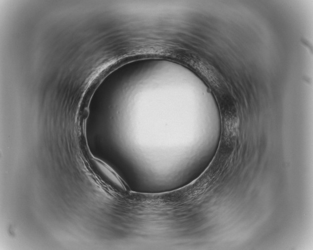 X0000098100628200804181425