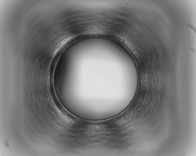 X0000098100629200804181425