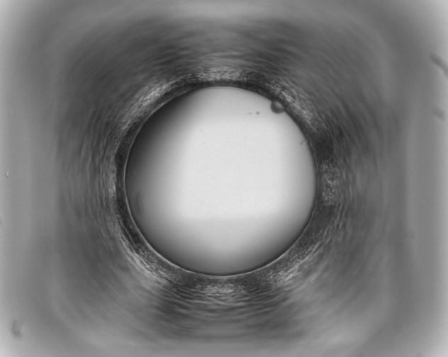 X0000098100631200804181425