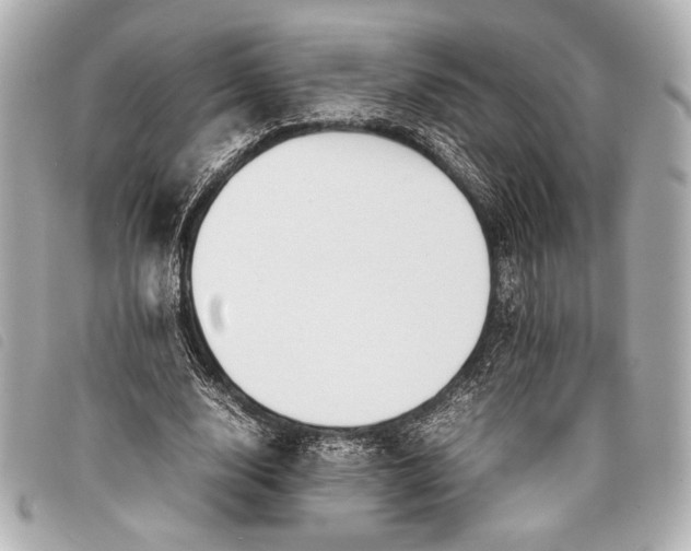 X0000098100632200804181425